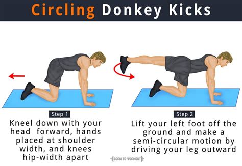 What are Donkey Leg Raises (Donkey Kicks), How to do, Variations