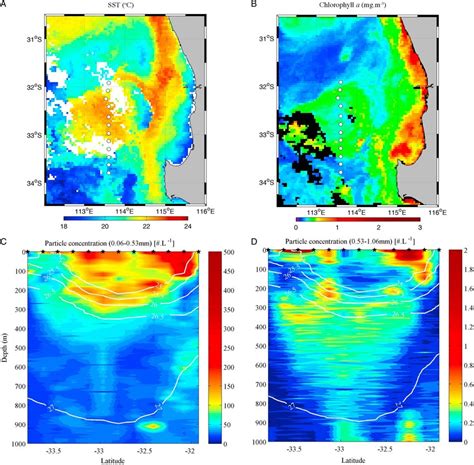 A Sea Surface Temperature °c And B Chlorophyll A Mg M À3 Download Scientific Diagram