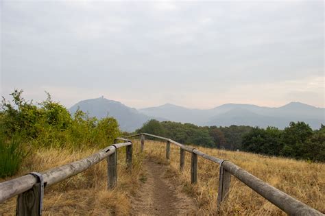 Rund Um Den Rodderberg Wanderung Outdooractive