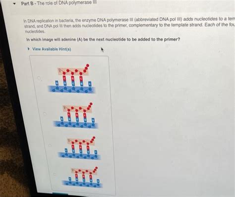 In Dna Replication In Bacteria The Enzyme Dna