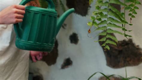 Mila Azul Leau Eternal Desire Scene02501 Porn Pic