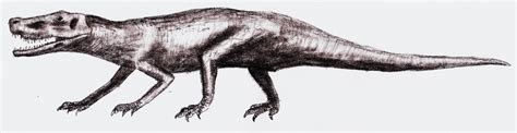 Fasolasuchus Scratchpad Video Wiki Fandom