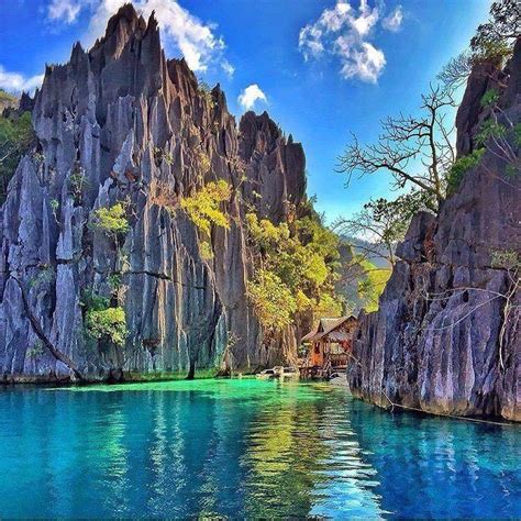 Revisiting coron