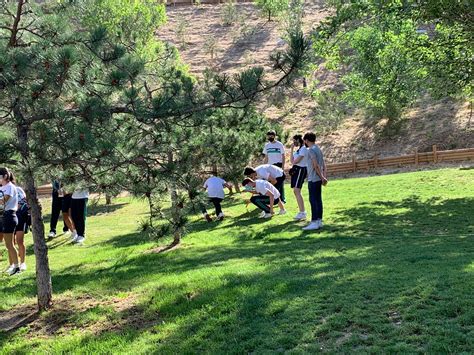 Nuevas Actividades Educativas Con La Eso Colegio El Ave Mar A