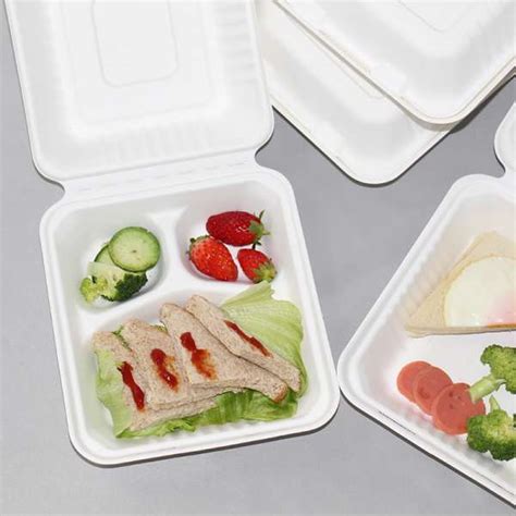 Compostable Disposable Food Container With Lid Biodegradable Microwave