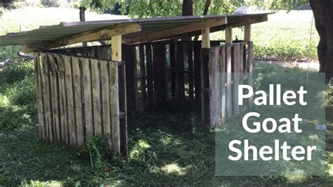 Diy Pallet Goat Shelter Youtube