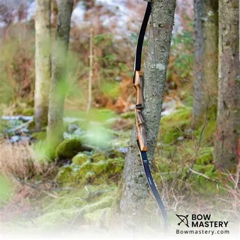 Best Recurve Bow For Beginners 2024 Starter Adult Recurve Bow