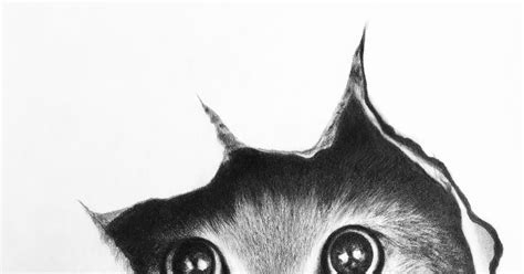 Кото-графика | Пикабу
