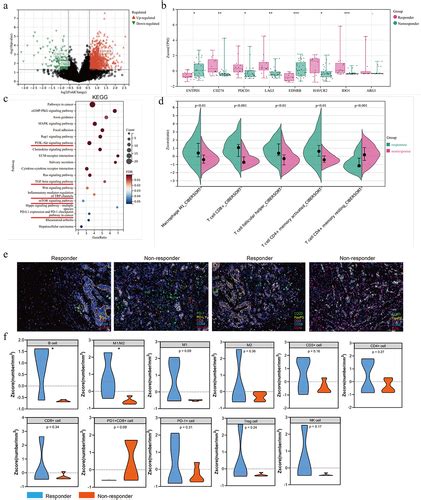 Full Article Neoadjuvant PD 1 Blockade Plus Chemotherapy Induces A