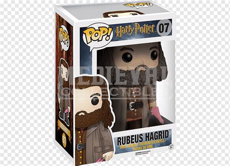 Rubeus Hagrid Ron Weasley Dobby La Casa Elfo Hermione Granger Lord