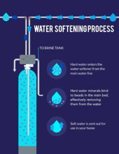 Water Softener vs Water Filter: Do I Need Both?