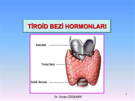 Tiroid Hormonları Ppt