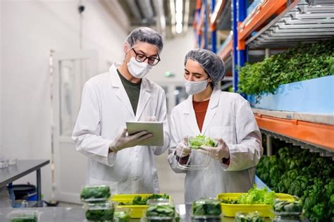 ¿de Quién Depende La Calidad E Inocuidad De Los Alimentos