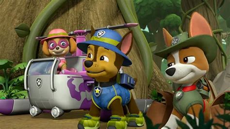 Paw Patrol S05e19 Pups Save The Pawpaws Itoons آموزش زبان و پرورش