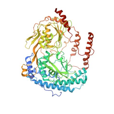 Rcsb Pdb Xud Crystal Structure Of Adaptor Nlpi In Complex With