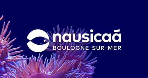 The Ocean Mag Read Our Latest Articles Nausicaa