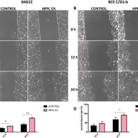 B4g12 And Bce Cd 1b Cell Wound Healing Assay After Treatment With