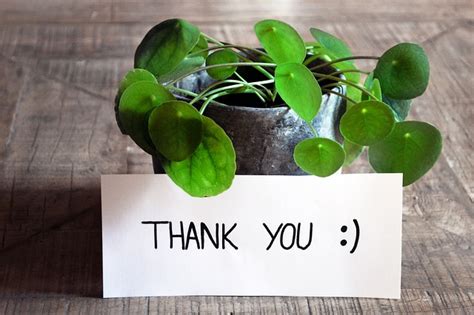 notes   images pixabay