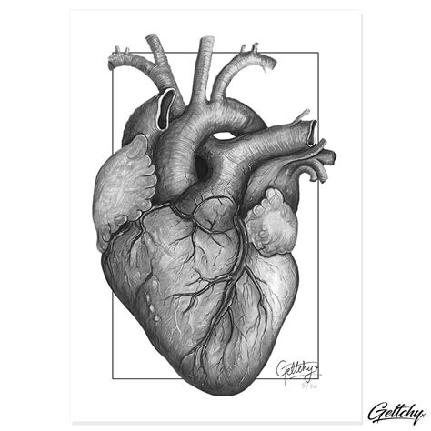 SWEETHEART Anatomical Heart Tattoo Artwork Prints – Geltchy