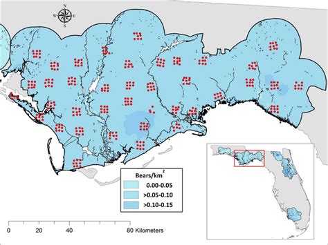 Density surface map for Florida black bears in the Apalachicola study... | Download Scientific ...