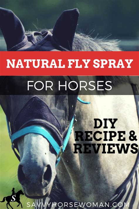 Natural Fly Spray For Horses Reviews And Recipe Printable Savvy