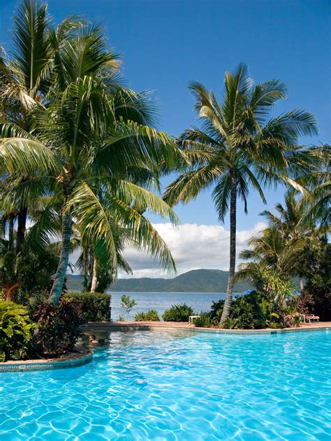 Daydream Island | Ocean_Marine