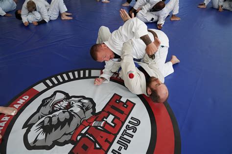 Gracie Jiu Jitsu Vs Brazilian Jiu Jitsu Understanding The Differences