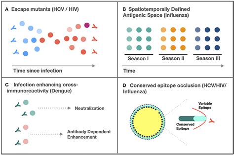 Frontiers Antigenic Variability