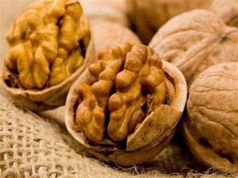 Usda Proyecta Que Chile Exportará 162 500 Toneladas Métricas De Nueces