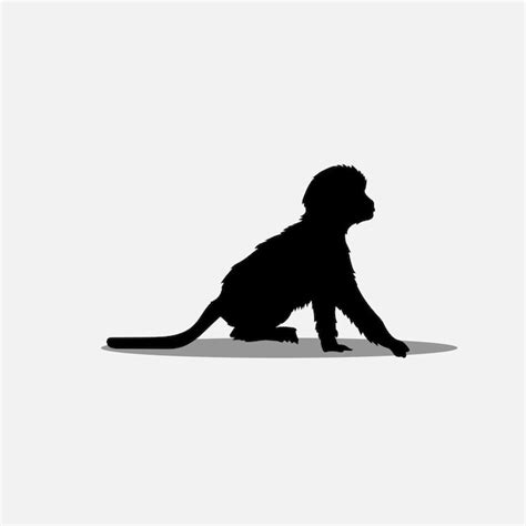 Premium Vector Monkey Vector Image