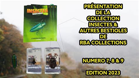 Présentation De La Collection Insectes And Autres Bestioles De Rba Collection Edition 2023 Num 7