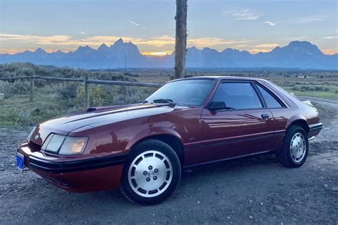 1986 Ford Mustang SVO for sale on BaT Auctions - sold for $8,050 on November 6, 2021 (Lot ...