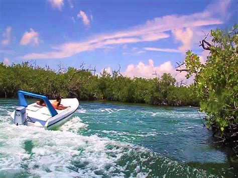 Jungle Tour Cancun Speed Boat Snorkeling