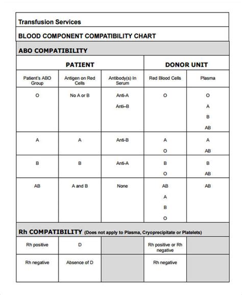 FREE 7 Compatibility Chart Templates In MS Word PDF