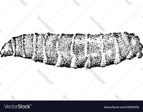 Maggot Vintage Royalty Free Vector Image Vectorstock