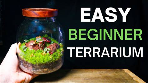 Beginner Terrarium Tutorial Simple Easy Step By Step Guide Youtube