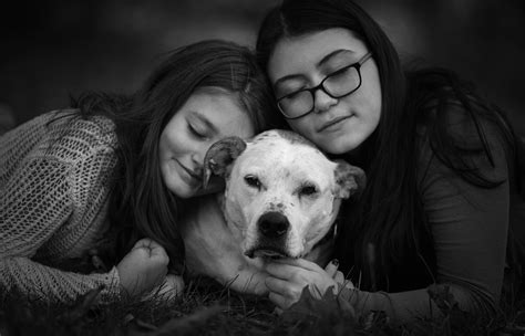 Generous pet photographers offer free end-of-life shoots to heartbroken