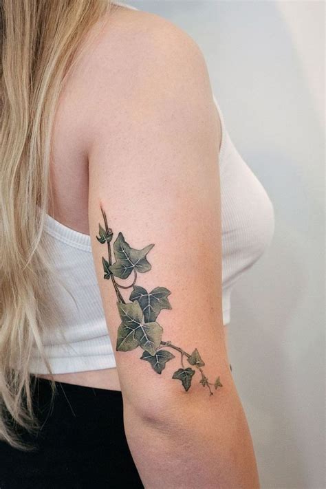 35 Stunning Ivy Vine Tattoos For 2024 Photos In 2024 Vine Tattoos