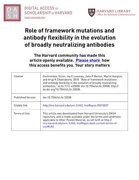 Role Of Framework Mutations And Antibody Flexibility In The Evolution