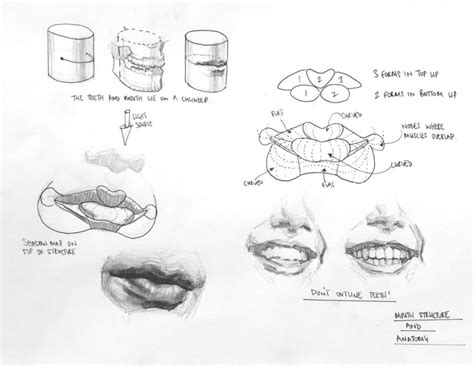 Free Pdf For Drawing Realistic Facial Expressions Domestika