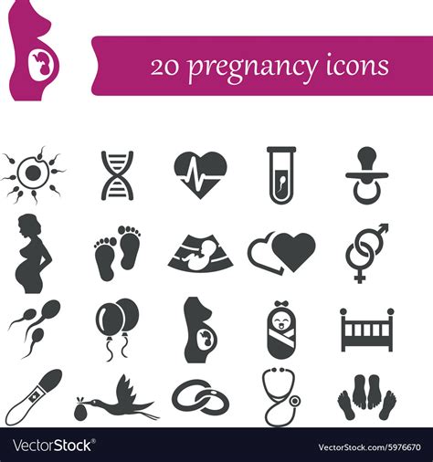 Pregnancy Icons Royalty Free Vector Image Vectorstock