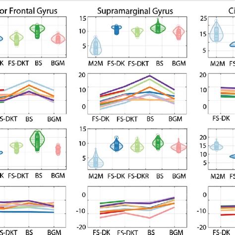 Violin Plots Show Roi Cortical Volume In Cm 3 Computed By Masks2metrics Download Scientific