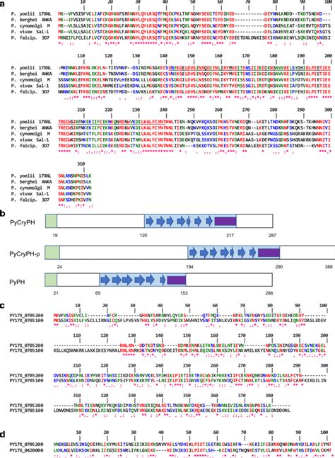 Sequence Alignment And Predicted Secondary Structure Of Cryph Compared