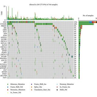 Waterfall Plot Of Gene Mutations In TCGA LIHC Dataset A Mutation