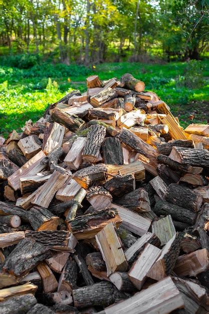 Uma Pilha De Lenha No Quintal Colhida Para Aquecer A Casa No Inverno