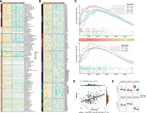 Frontiers Machine Learning Based Identification Of Tumor Infiltrating Immune Cell Associated