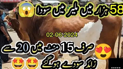 140k 58k Me Sode Malir Mandi Latest Rates Bargaining 2024 Update