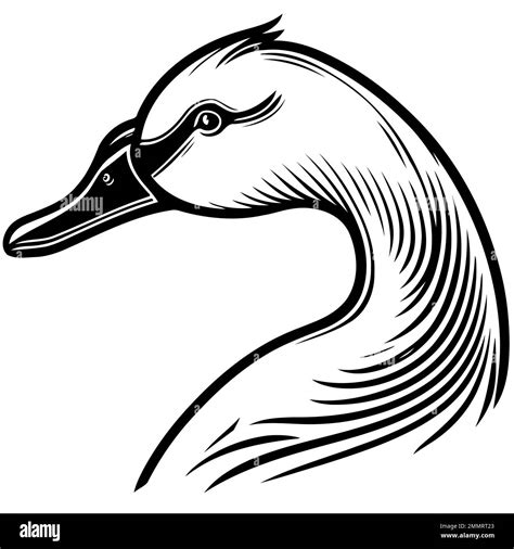 Vector Illustration Of Animal Head Goose A Waterfowl Bird Species Of