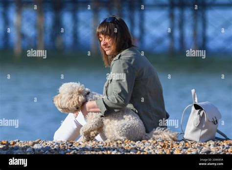 Femme Avec Chien Au Bord De La Mer Banque De Photographies Et Dimages