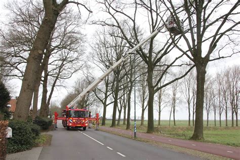 Brandweer Verwijdert Gevaarlijke Hangende Takken Van Bomen Eemnes